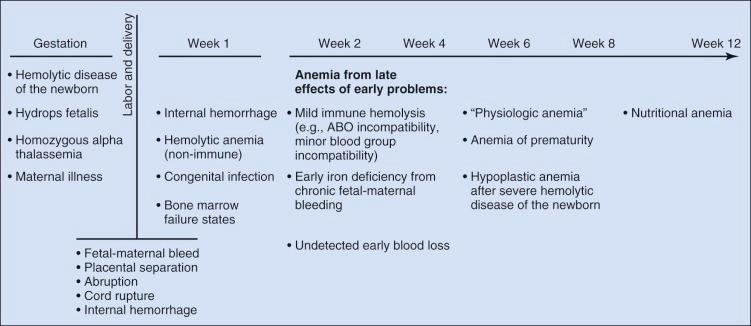 Figure 2-3, Developmental differential diagnosis of neonatal anemia.