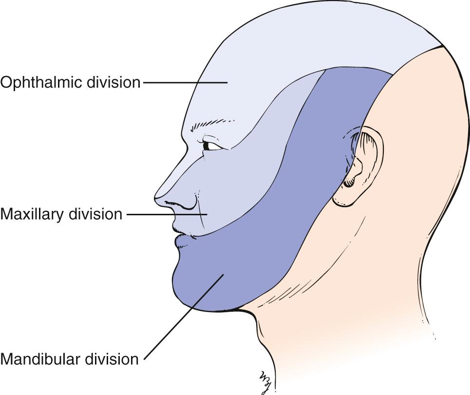 Fig. 21.10, Areas Innervated by Divisions of the Trigeminal Nerve.