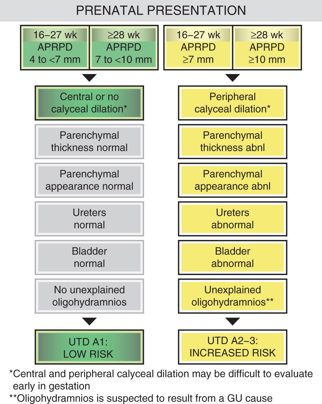 FIG. 52.15, Urinary Tract Dilation (UTD) Risk Stratification—Prenatal Presentation for UTD A1 (Low Risk) and UTD A2-3 (Increased Risk).