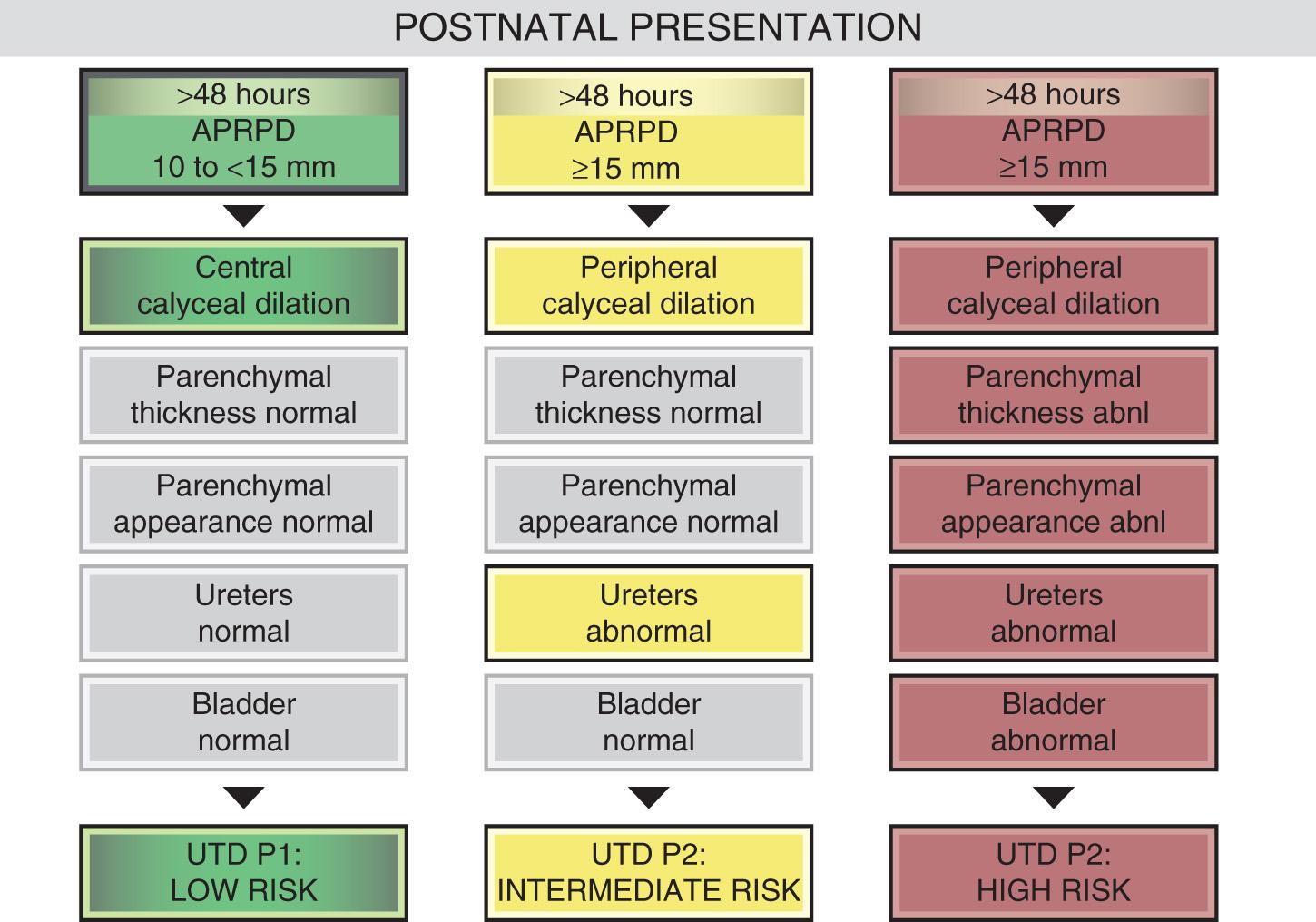 FIG. 52.16, Urinary Tract Dilation (UTD) Risk Stratification—Postnatal Presentation for UTD P1 (Low Risk), UTD P2 (Intermediate Risk), and UTD P3 (High Risk).