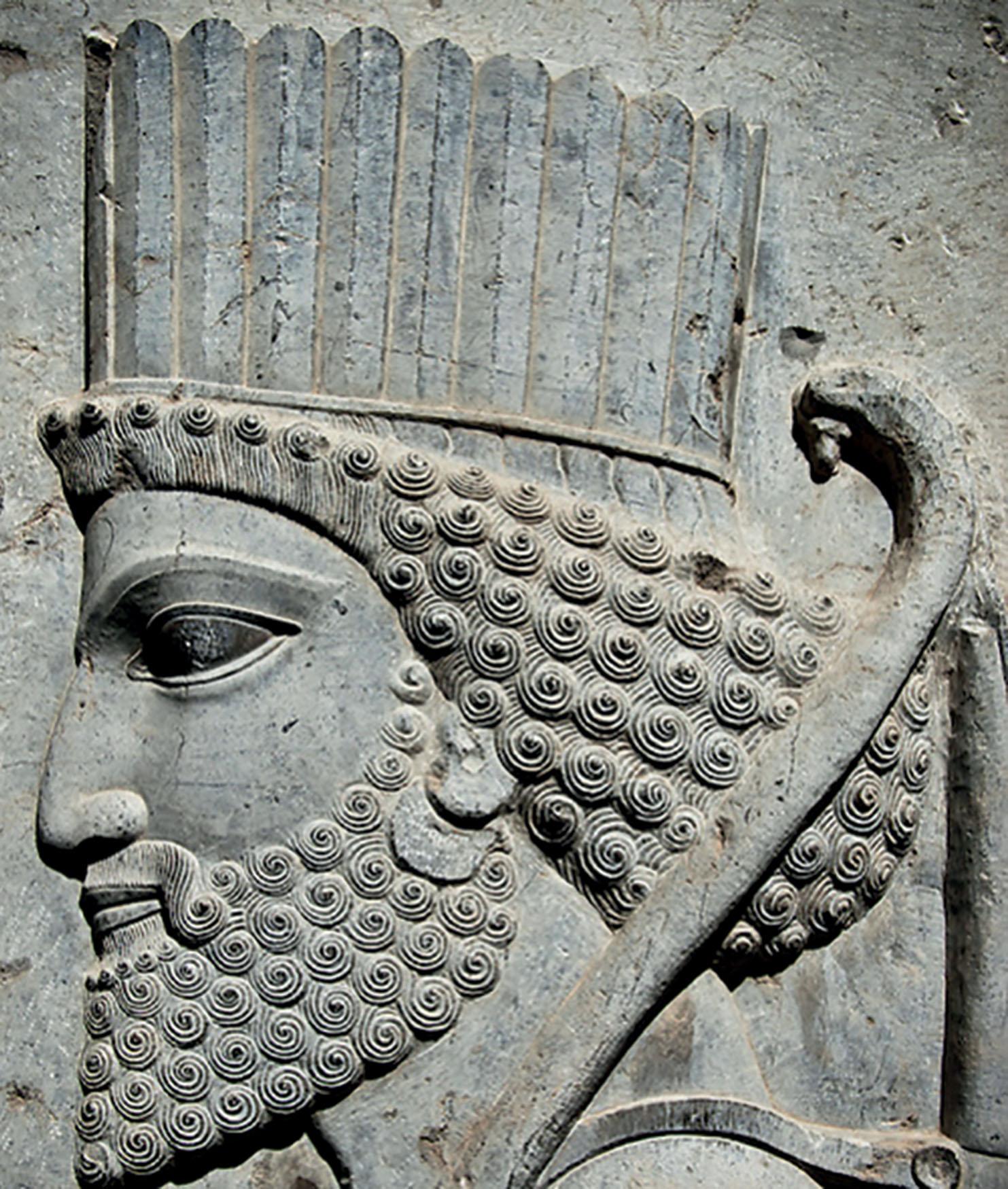 Fig. 60.1, Persepolis stone engraving (circa ~500 BC) shows an ethnic Persian nose with a characteristic hump and droopy tip which persist today.
