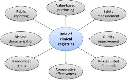 Fig. 5.1, Potential roles of clinical registries in health care.