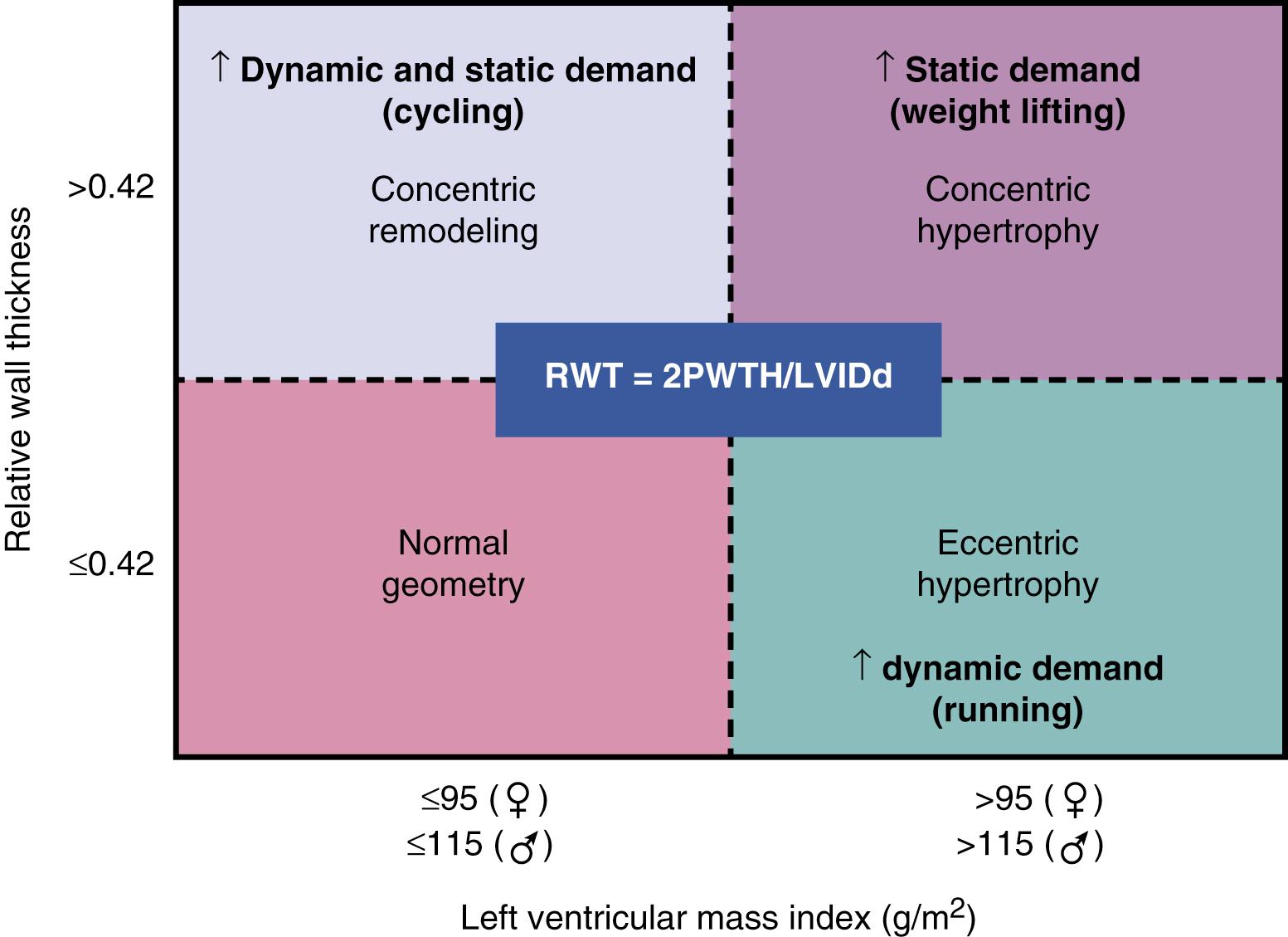 Figure 64.1, Patterns of left ventricular remodeling and wall thickness in association with exercise profile. In the equation: RWT, relative wall thickness; PWTH, posterior wall thickness; LVIDd, LV internal dimensions at end-diastole.