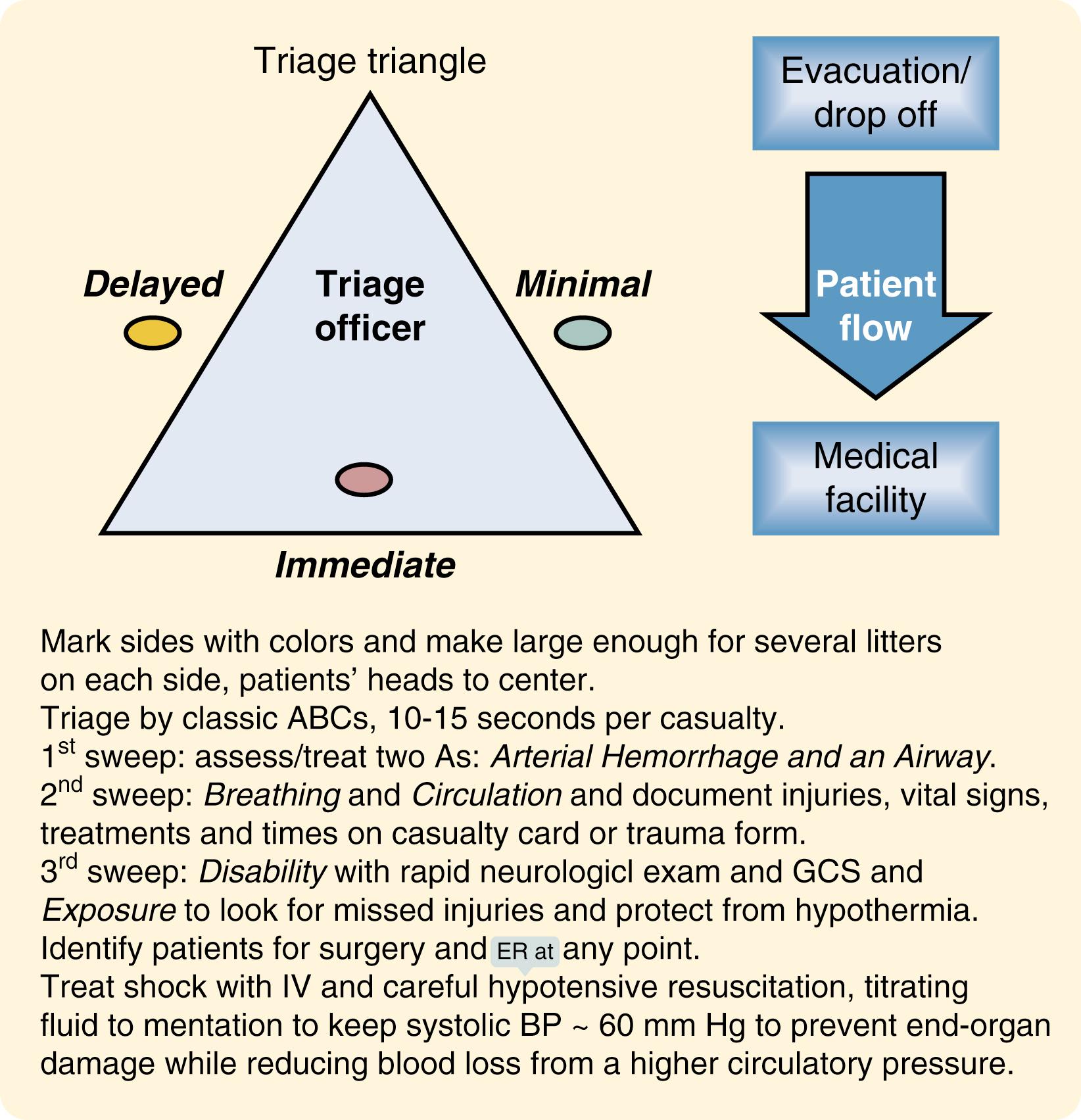 Fig. 24.4, The “Triage Triangle” arrangement for setting up an external triage point during a large mass casualty event. This allows the triage officer or team to be centrally located and to categorize and group patients as immediate, delayed, or minimal.