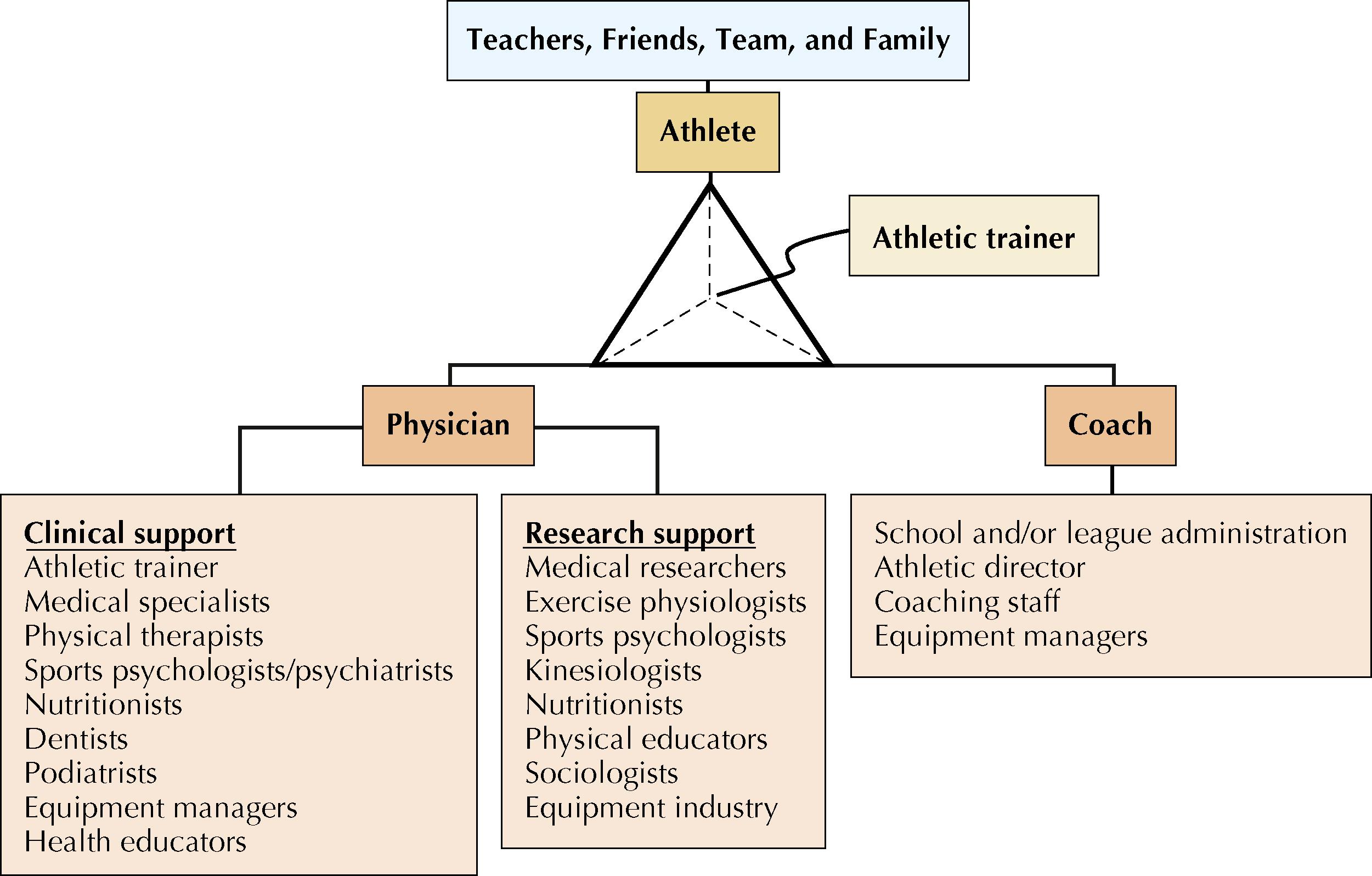 Figure 1.1, The sports medicine team. The athletic trainer works under the supervision and license of the physician, often with a plan of care and/or standing orders.