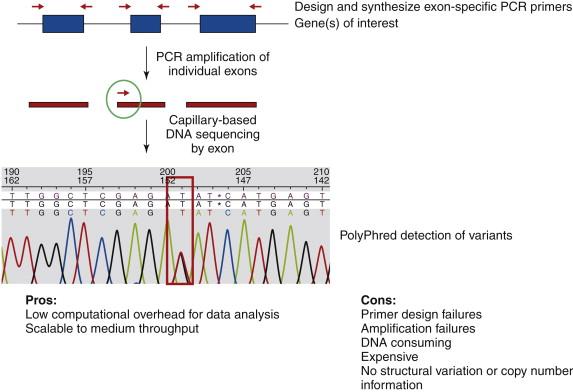 Figure 23-1, PCR and capillary sequencing of exons