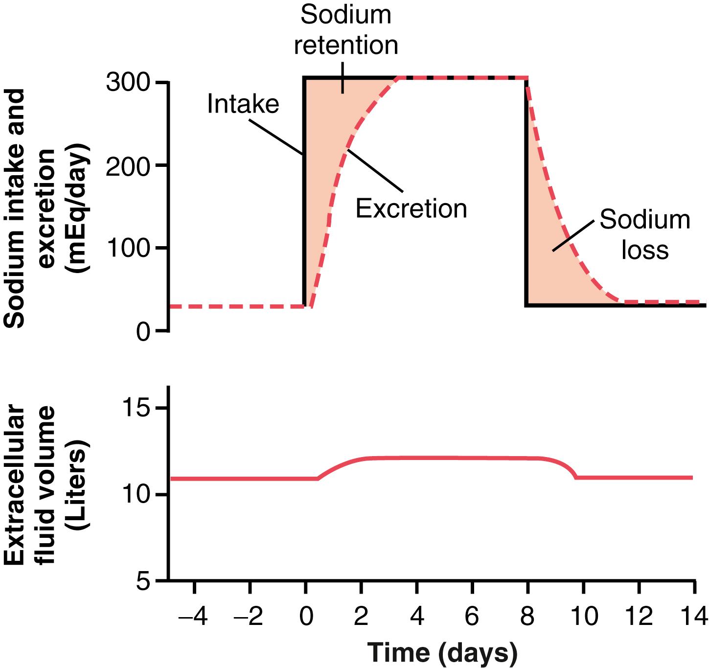 Figure 26-1, Effect of increasing sodium intake 10-fold (from 30 to 300 mEq/day) on urinary sodium excretion and extracellular fluid volume. The shaded areas represent the net sodium retention or net sodium loss, determined by the difference between sodium intake and sodium excretion.