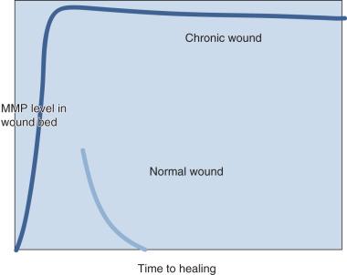 FIG 63.3, Matrix metalloprotein (MMP) levels in wound fluid remain high in patients with chronic nonhealing wounds, whereas they recede in the normal wound.