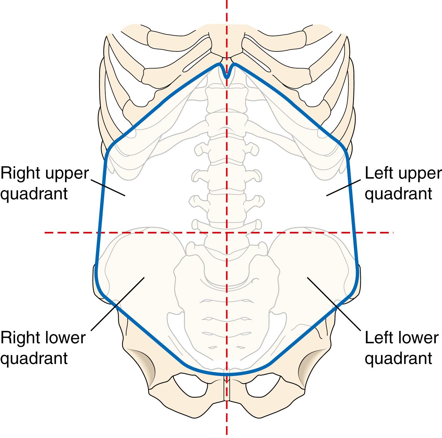 Fig. 13.3, The four quadrants of the abdomen.
