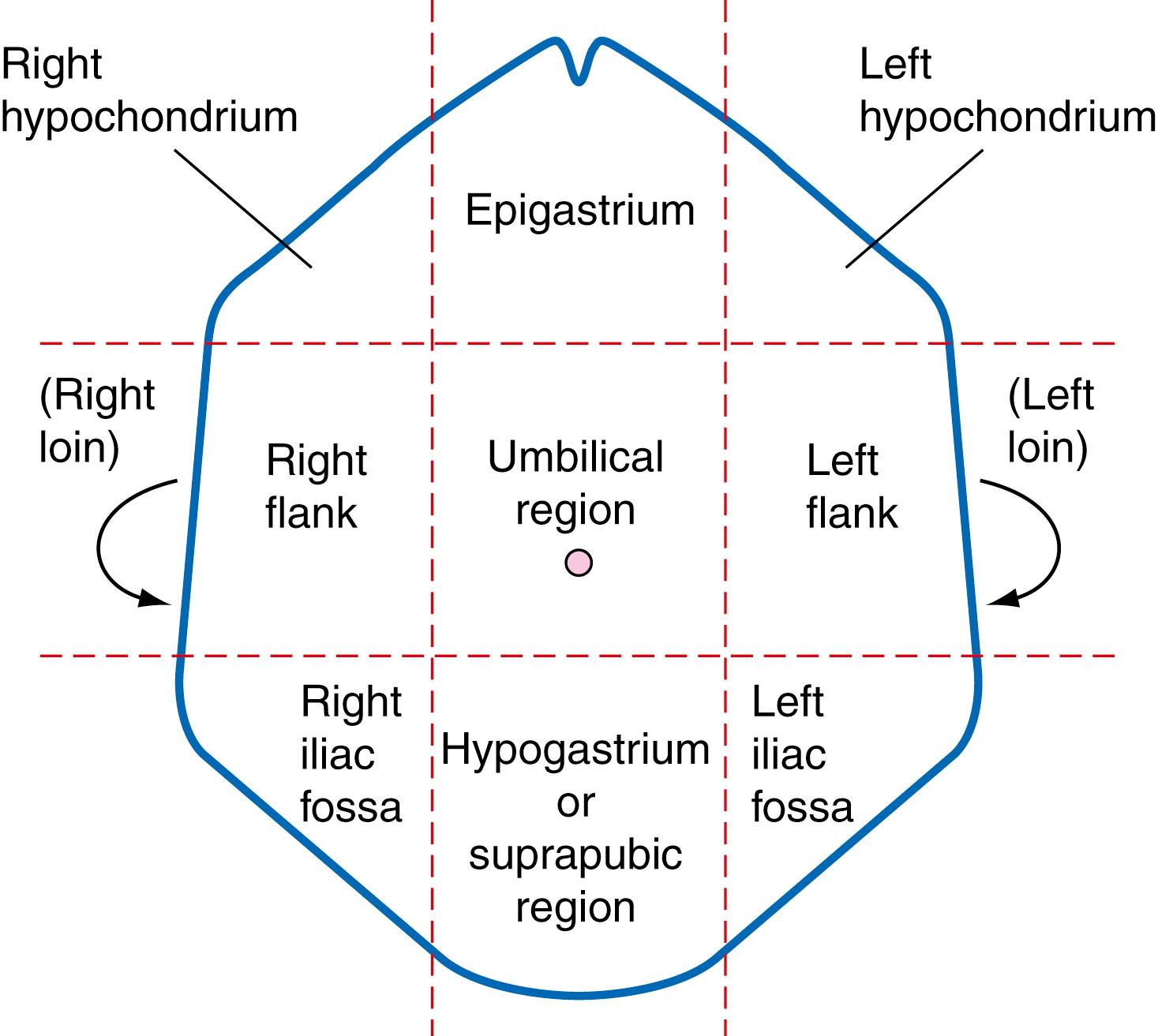 Fig. 13.4, The abdomen divided into nine regions.