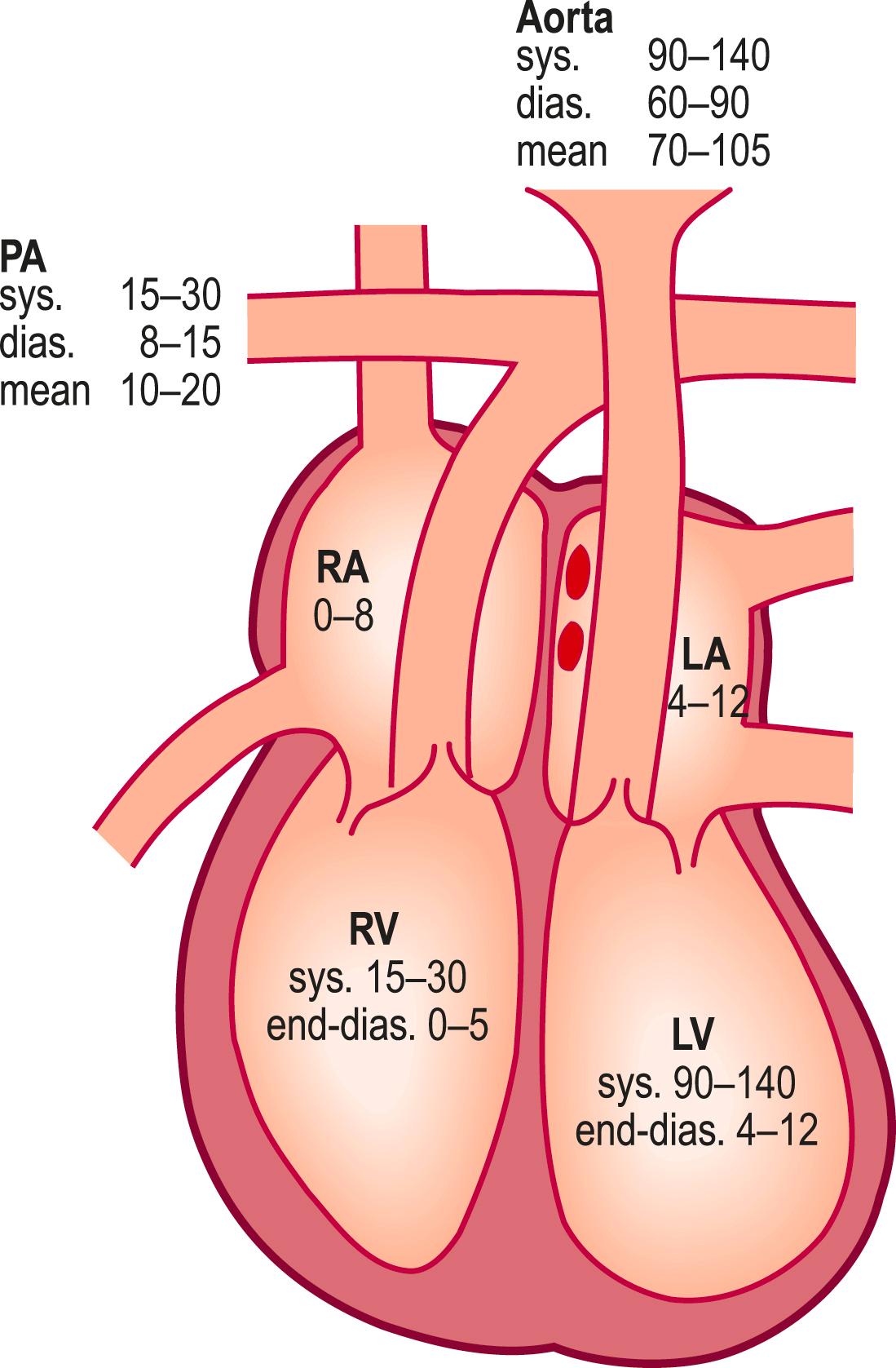 Fig. 4.2, Normal resting pressures (mmHg) in the heart and great vessels.