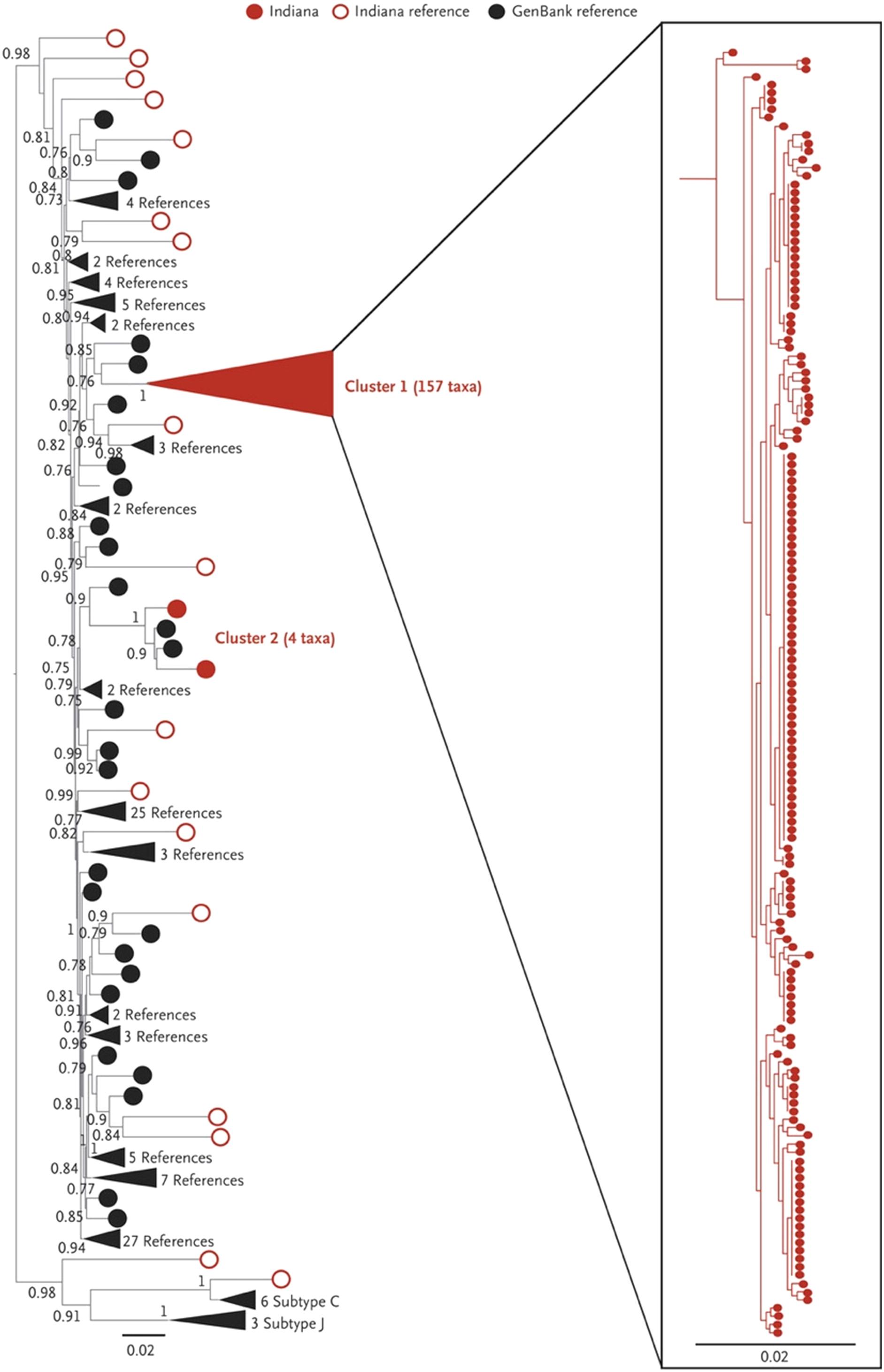 Figure 2.2, Maximum likelihood phylogenetic tree of HIV-1 polymerase sequences—southeastern Indiana, November 18, 2014 to November 1, 2015.