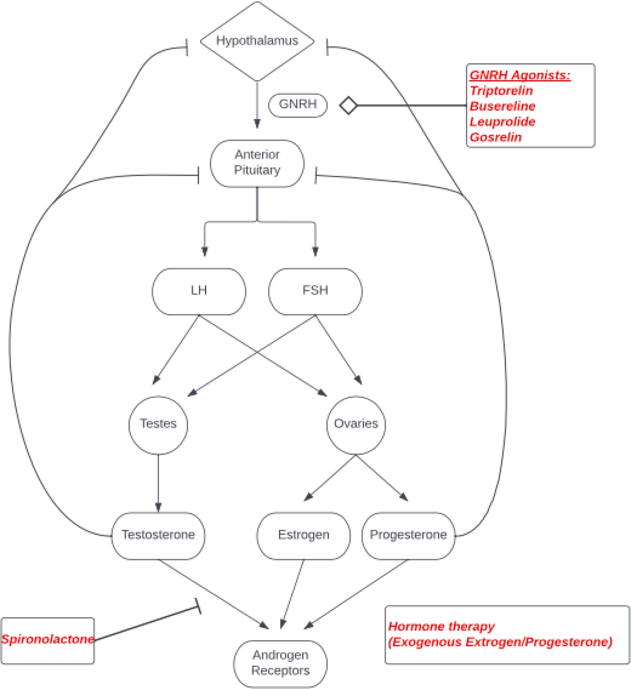 Figure 4.3, Male to female hormonal transition.