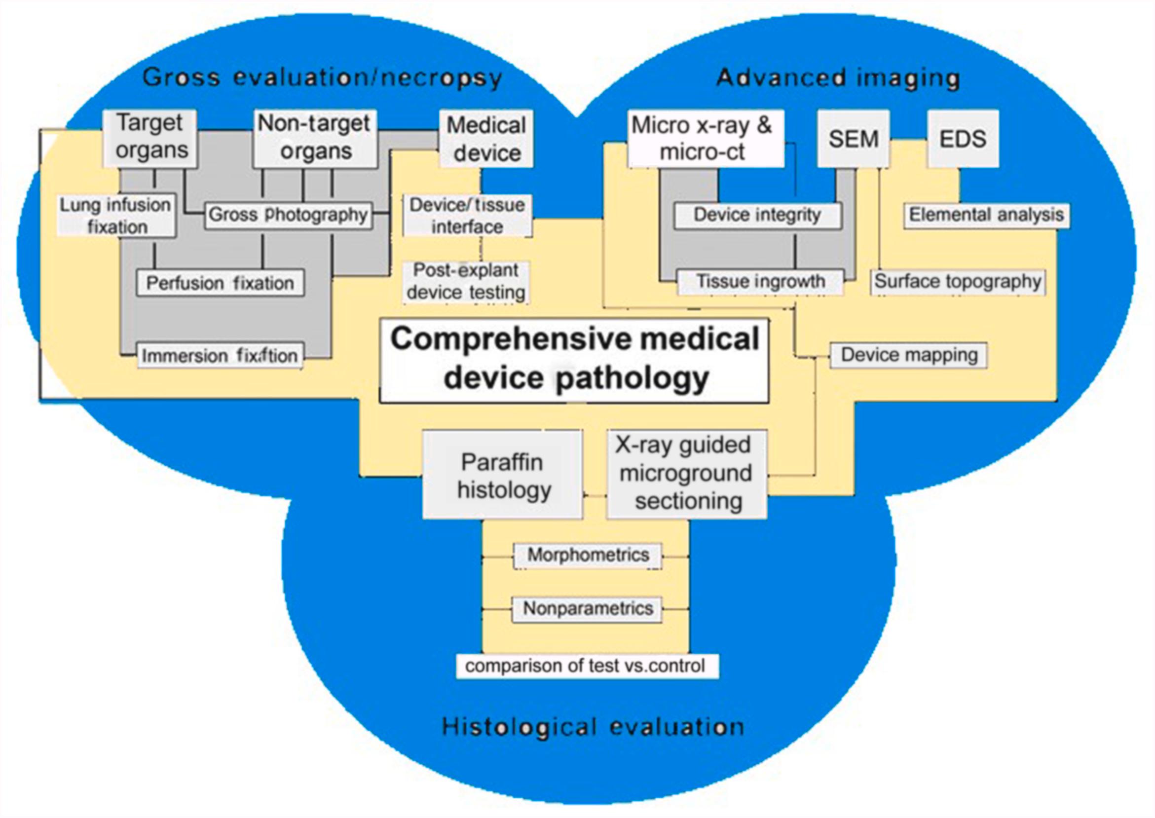 Utilization of gross evaluation, advanced imaging modalities, and histological evaluation to provide a comprehensive approach to medical device pathology [1] .