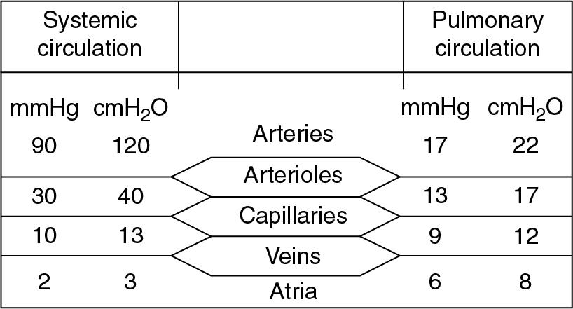 • Fig. 6.2, Comparison of typical mean pressure gradients along the systemic and pulmonary circulations (mean pressures relative to atmosphere).