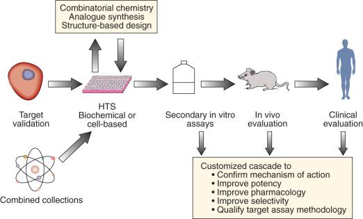 Figure 26.2, Central role of high-throughput screening in the mechanism-based drug discovery process.