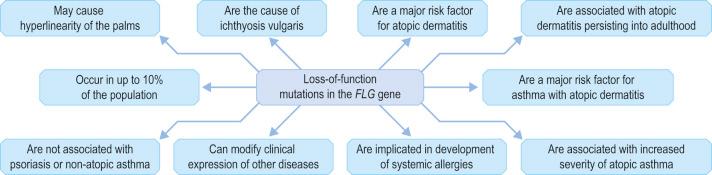 Fig. 1.31, Functional consequences of loss-of-function mutations in the filaggrin gene, which can affect up to 10% of the people in some populations.