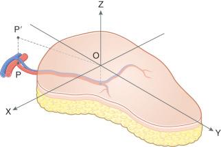 Figure 26.1, Three-dimensional description of the flap.
