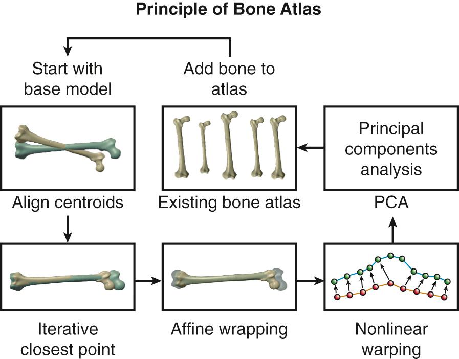 FIG 16.1, Flow chart outlining the process of the atlas creation.