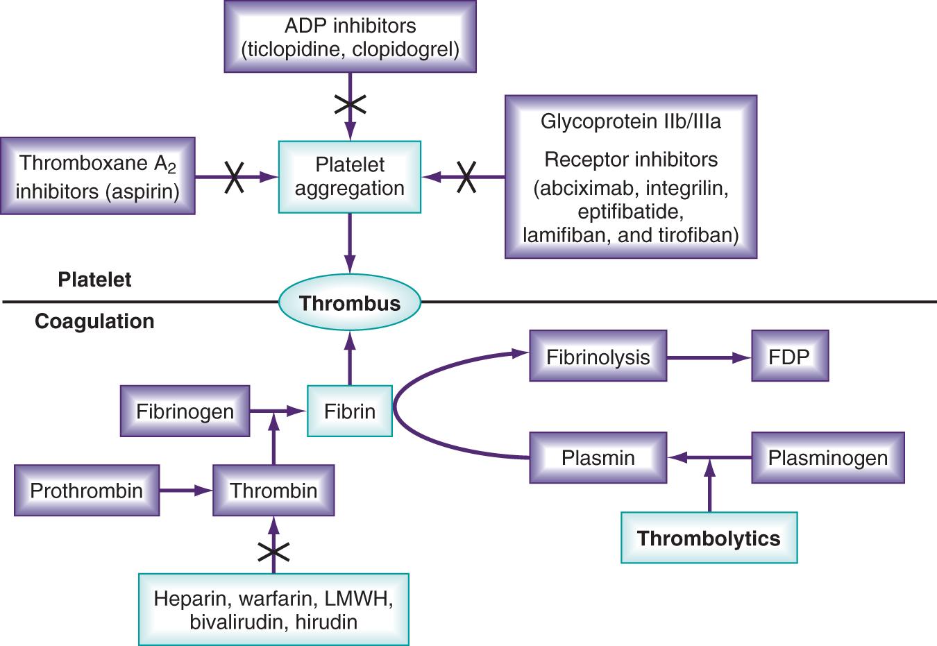 Fig. 152.1, Components of thrombus formation and effects of various antithrombotic and thrombolytic agents. FDP, Fibrin degradation products; LMWH, low-molecular-weight heparin.