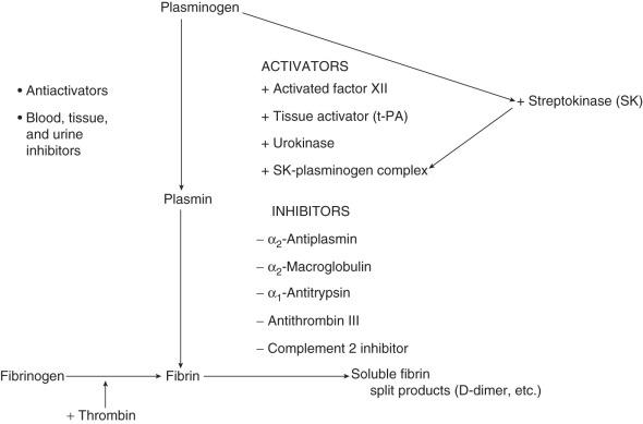 FIG 35.1, Simplified scheme of the fibrinolytic system with endogenous and exogenous activators.