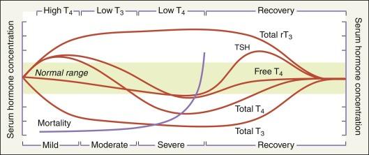 Fig. 3.5, Alternations in Serum Thyroid Hormone Concentrations During Acute Nonthyroidal Illness and Recovery.