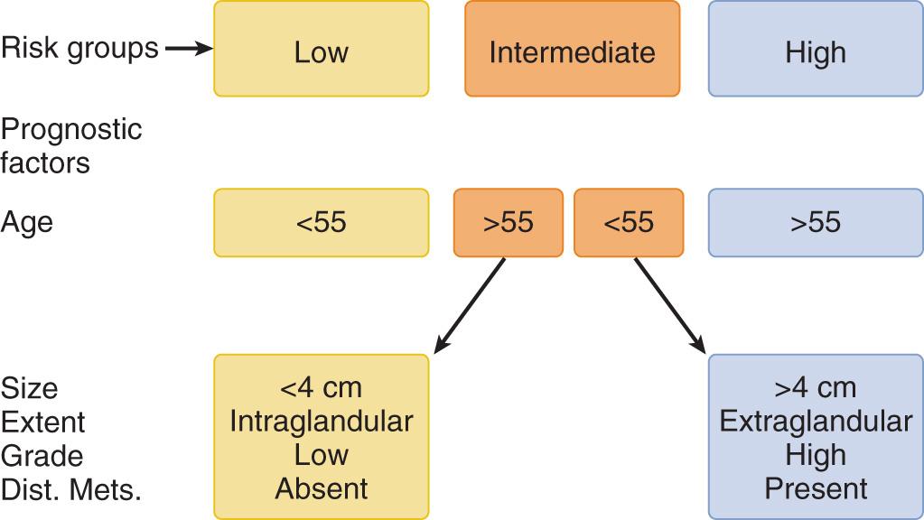 Figure 12.25, Risk group categories. Dist. Mets., Distant metastases.