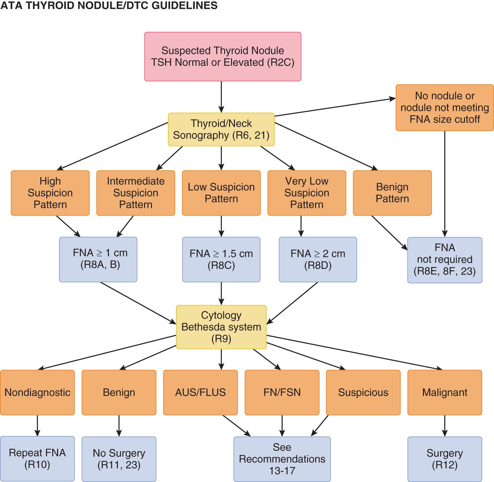 Figure 12.6, Risk-based algorithm for workup of a thyroid nodule. (2015 American Thyroid Association guidelines.)