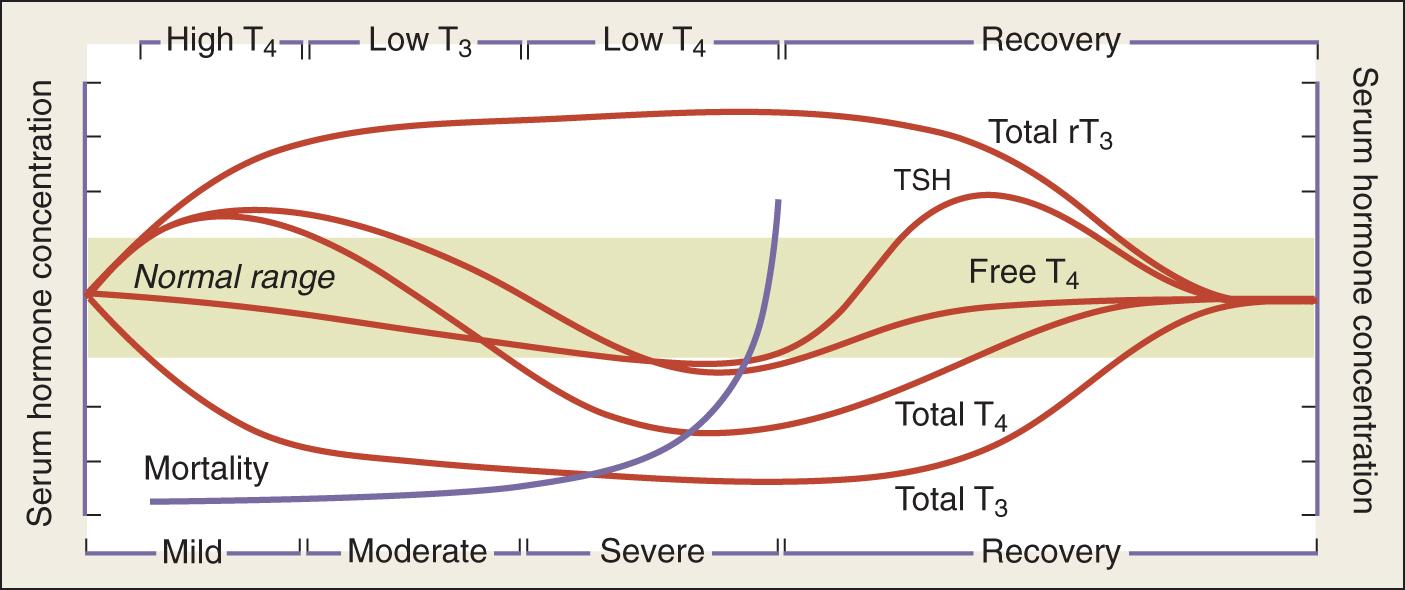 Fig. 137.2, Alterations of serum thyroid hormone concentrations in critical illness. Schematic representation of the continuum of changes in serum thyroid hormone concentrations in patients with nonthyroidal illness. Alterations become more pronounced with increasing severity of illness and return to normal range as illness subsides and the patient recovers. A rapidly rising mortality accompanies the fall in total and free T 4 concentrations. rT 3 , reverse triiodothyronine (3,3′5′-triiodothyronine); T 3 , 3,5,3′-triiodothyronine; TSH, thyroid-stimulating hormone (thyrotropin).