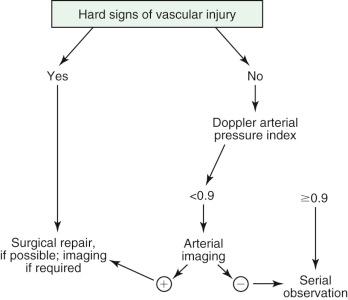 Fig. 62.10, Suggested algorithm for evaluation and treatment of a patient with suspected knee-region arterial injury. “Hard signs” of vascular injury include pulsatile hemorrhage, expanding hematoma, audible bruit, or pulselessness.