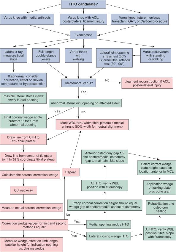 FIG 26-13, The clinical algorithm for the preoperative clinical and radiographic assessment to determine candidates for medial opening wedge or lateral closing wedge osteotomy. ACL , Anterior cruciate ligament; CFH , center femoral head; HTO , high tibial osteotomy; MCL , medial collateral ligament; OAT , osteochondral autograft transfer; WBL , weight-bearing line.