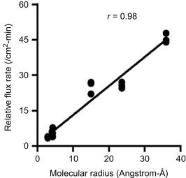 Fig. 25.4, Graph of molecular radius of paracellular markers vs. relative increase in flux rate following occludin siRNA transfection (relative correlation coefficient, r = 0.98).