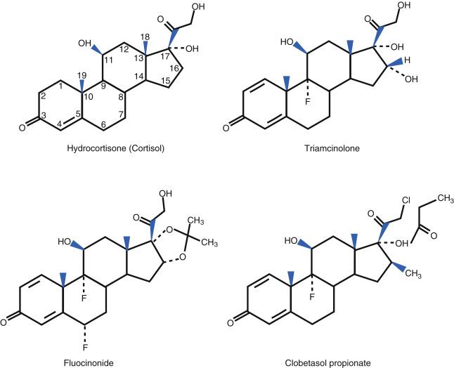 Fig. 45.1, Topical corticosteroids—several examples.