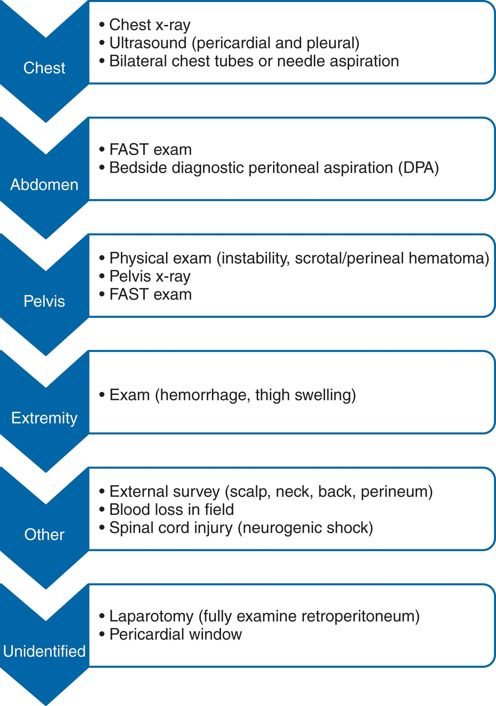 FIGURE 6, Algorithm for rapid evaluation and search for hemorrhage in the combat trauma patient. FAST, Focused assessment with sonography for trauma.