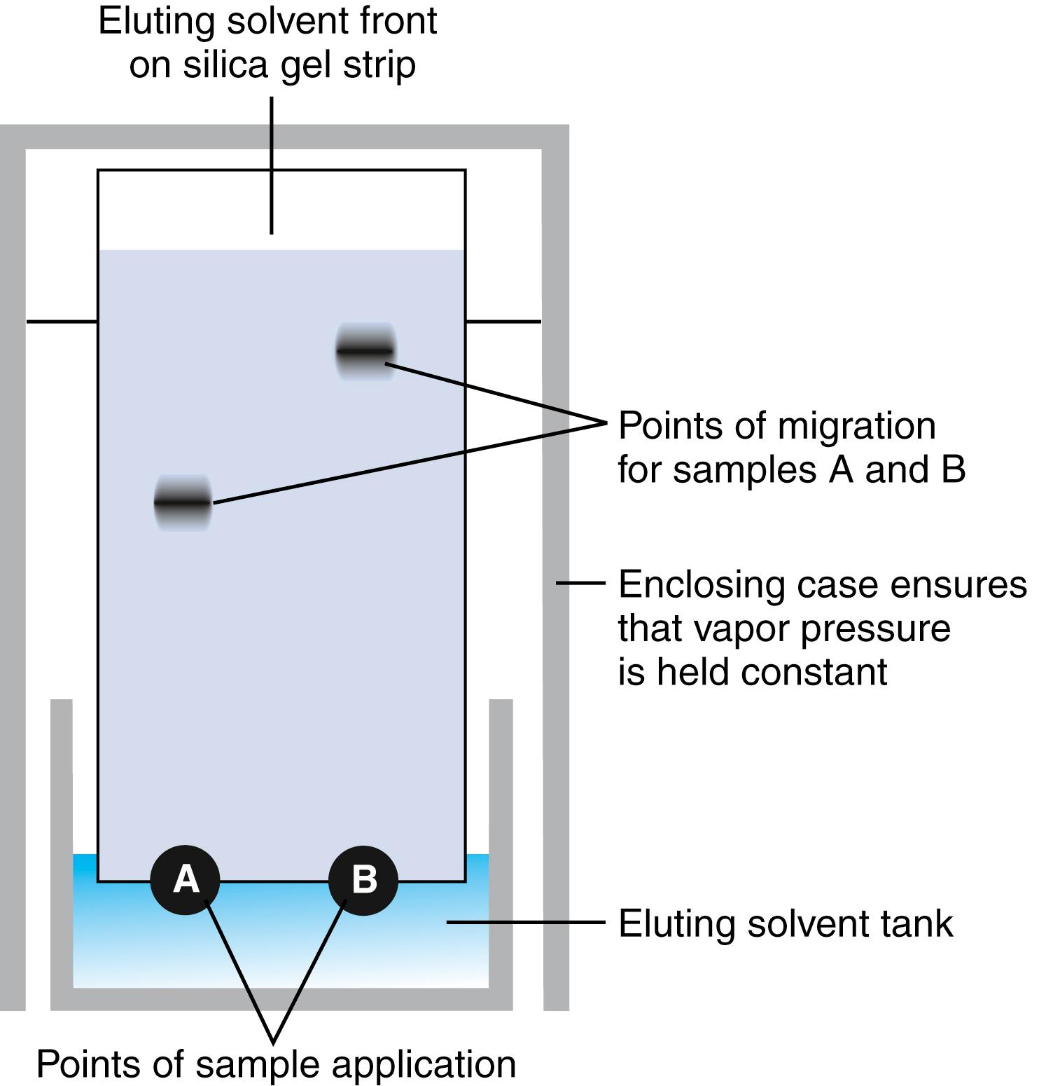 Figure 24.2, Illustration of the principle of thin-layer chromatography (TLC). Two solutes, A and B, are applied to the polar silicate strip. A is more polar than B and has a higher affinity, therefore, for the polar stationary phase than for the nonpolar mobile phase (usually methanol in chloroform). Moreover, this relative affinity of A is higher than the affinity of B for the polar phase. Therefore, A separates out first on the strip, and B migrates further on the strip.