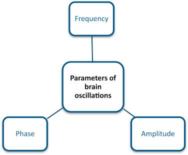 Figure 136.1, The three most important factors of brain oscillations for applying transcranial alternating current stimulation in human studies: amplitude, frequency, and phase of brain oscillations.