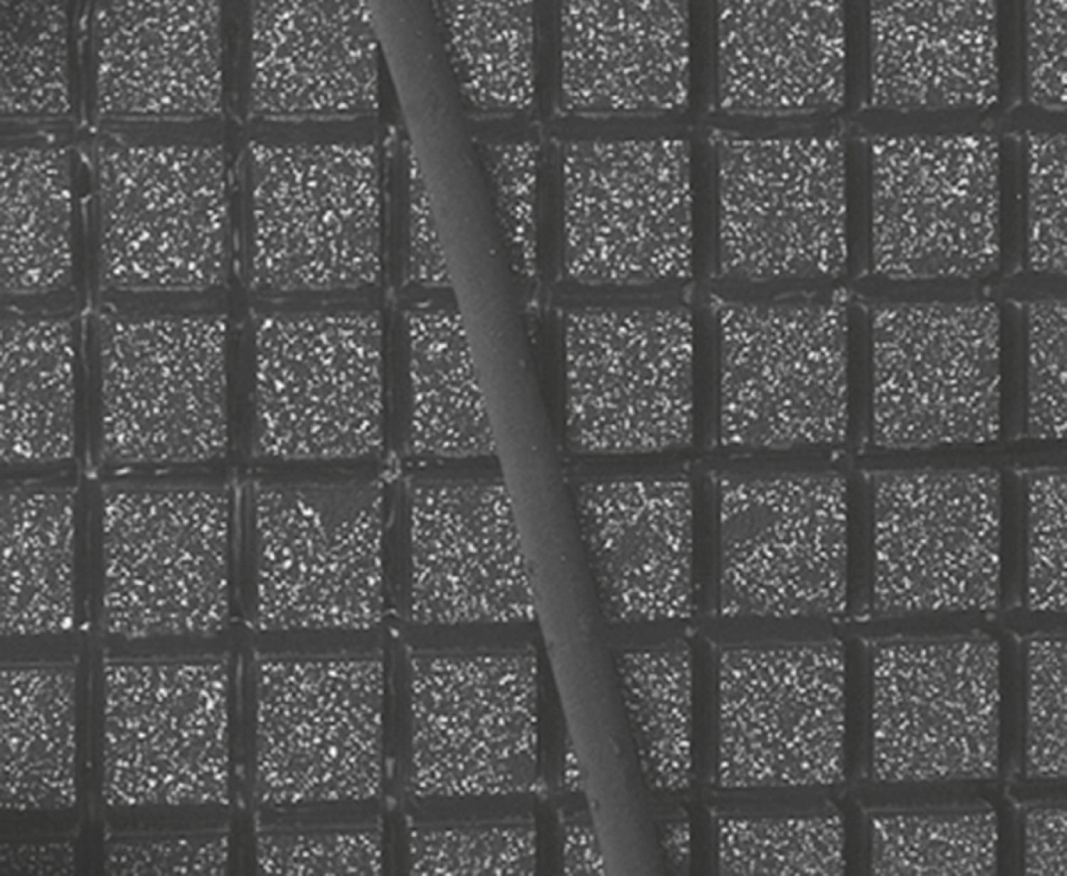 Figure 11.1, Matrix array transducer consisting of 50 rows and 50 columns of piezoelectric elements. A human hair demonstrates the size of each individual element.