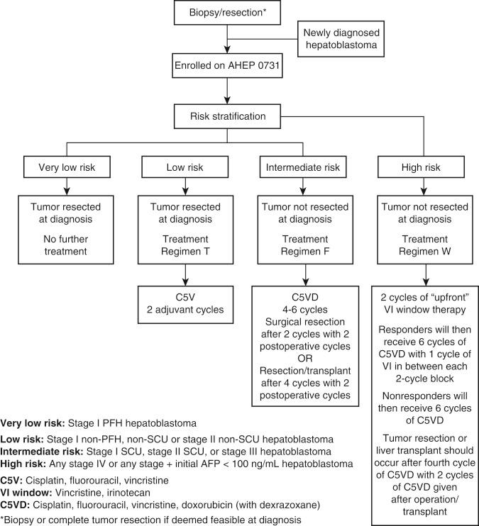 FIGURE 28-2, Algorithm for the management of a child with hepatoblastoma. AFP , α-Fetoprotein; PFH , pure fetal histological type; SCU , small cell undifferentiated type.