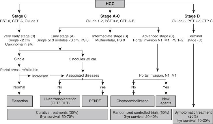 FIGURE 16-8, The Barcelona Clinic Liver Cancer staging classification and treatment plan. CLT , cadaveric liver transplantation; CTP , Child-Turcotte-Pugh; HCC , hepatocellular carcinoma; LDLT , living donor liver transplantation; PEI , percutaneous ethanol injection; PS ,; PST , performance status test; RF , radiofrequency ablation.