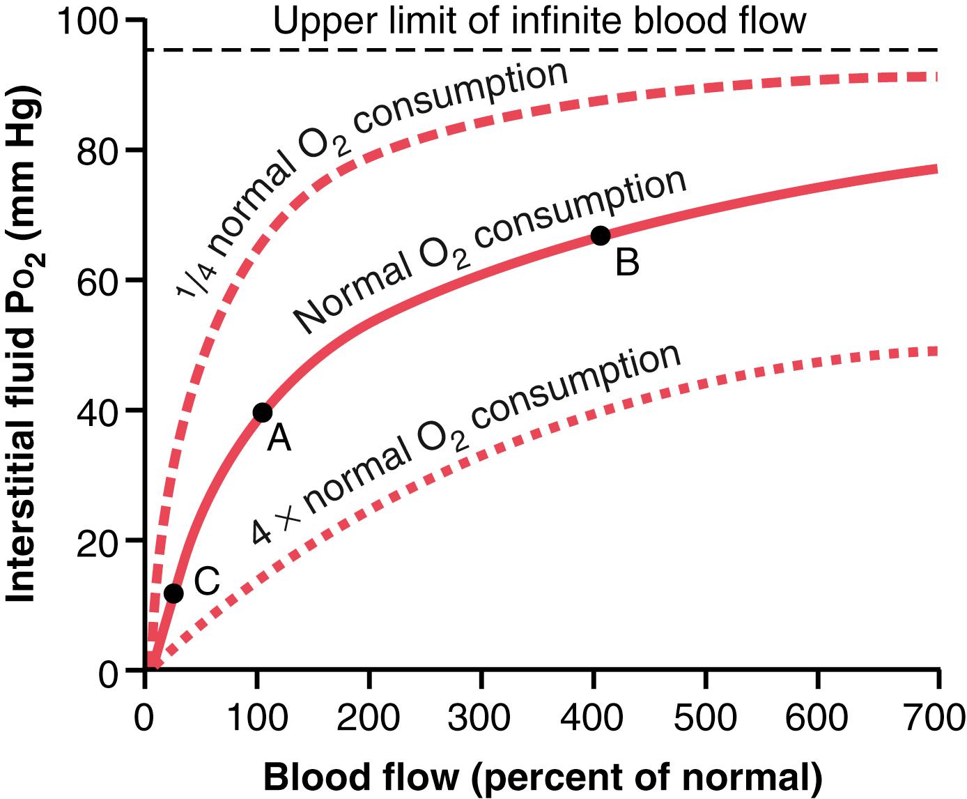 Figure 41-4, Effect of blood flow and rate of oxygen consumption on tissue P o 2 .