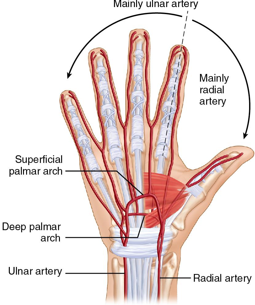 FIGURE 47.3