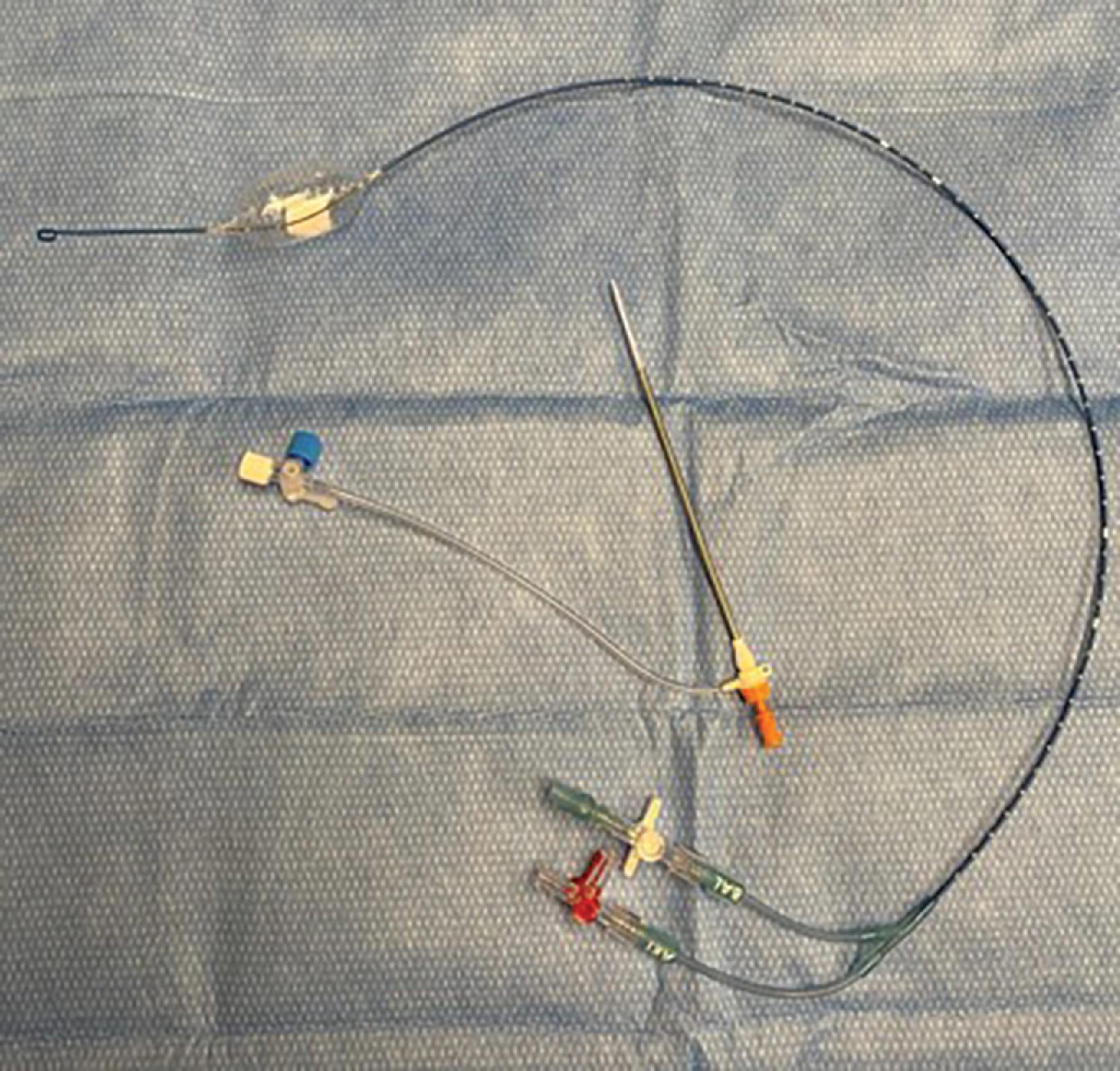 FIG. 6, REBOA catheter with introducer sheath.