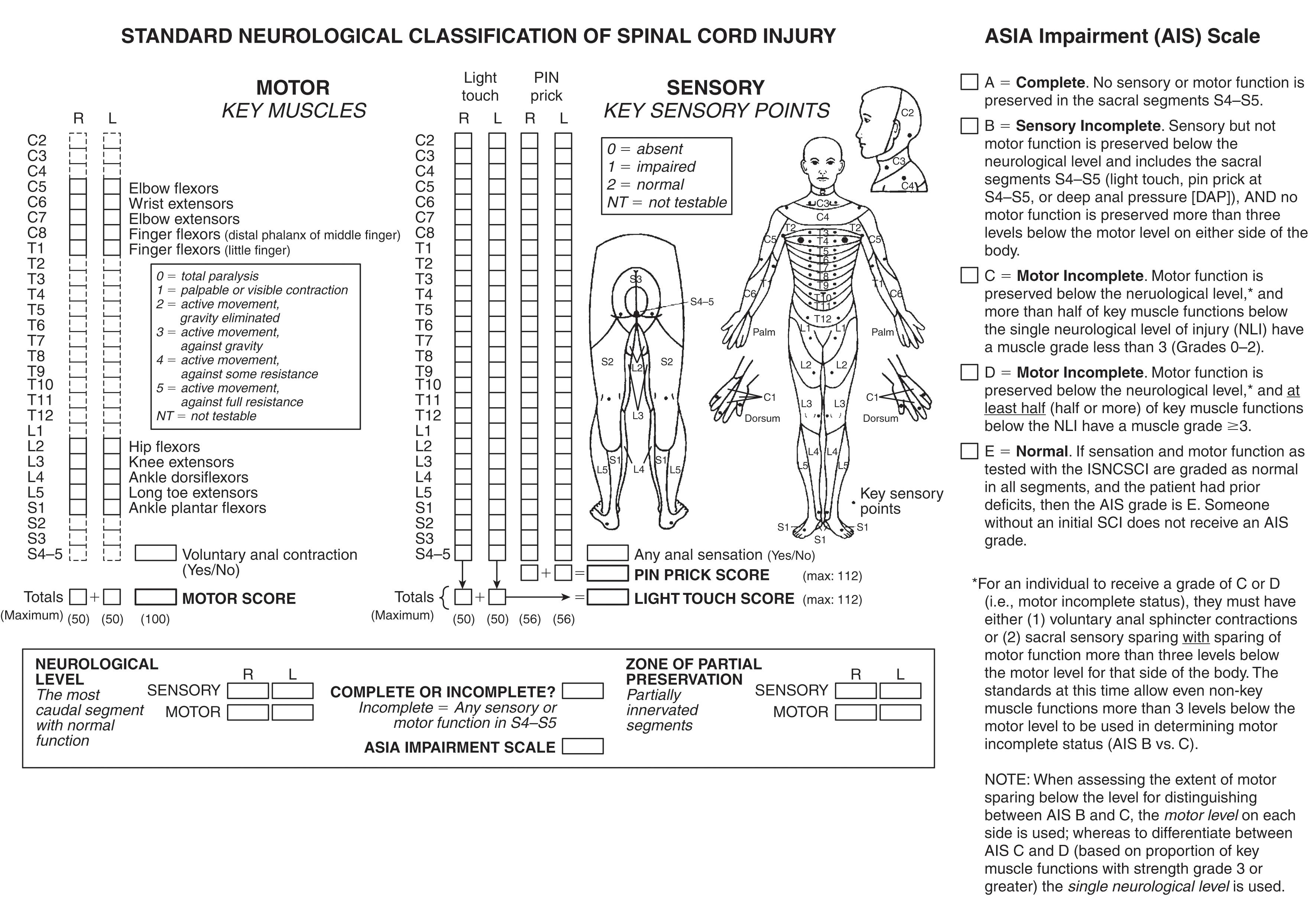 FIGURE 2, American Spinal Injury Association Impairment Scale.