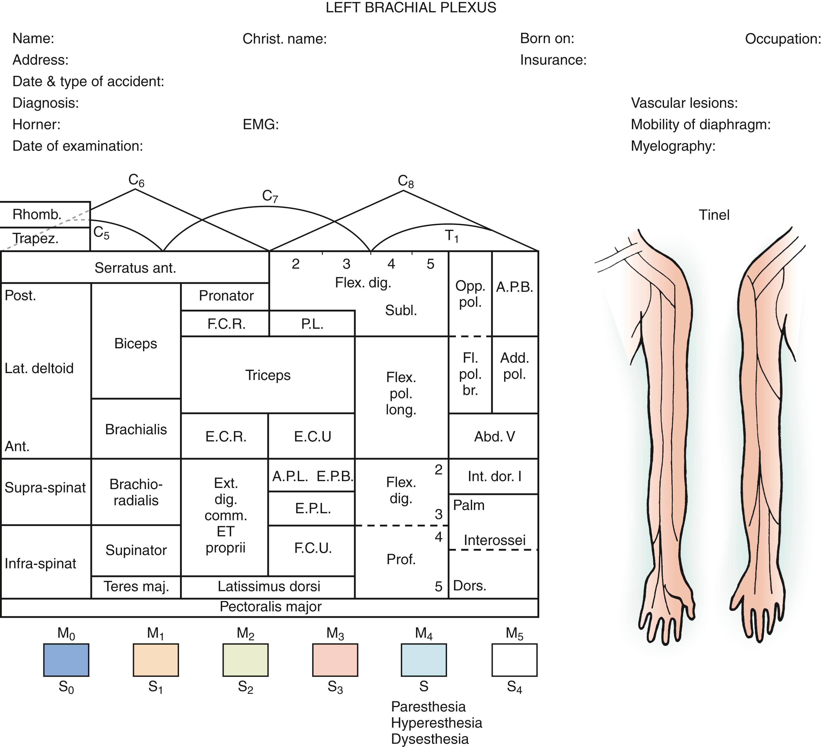 Fig. 34.4, Motor and sensory findings must be accurately documented preoperatively and postoperatively.