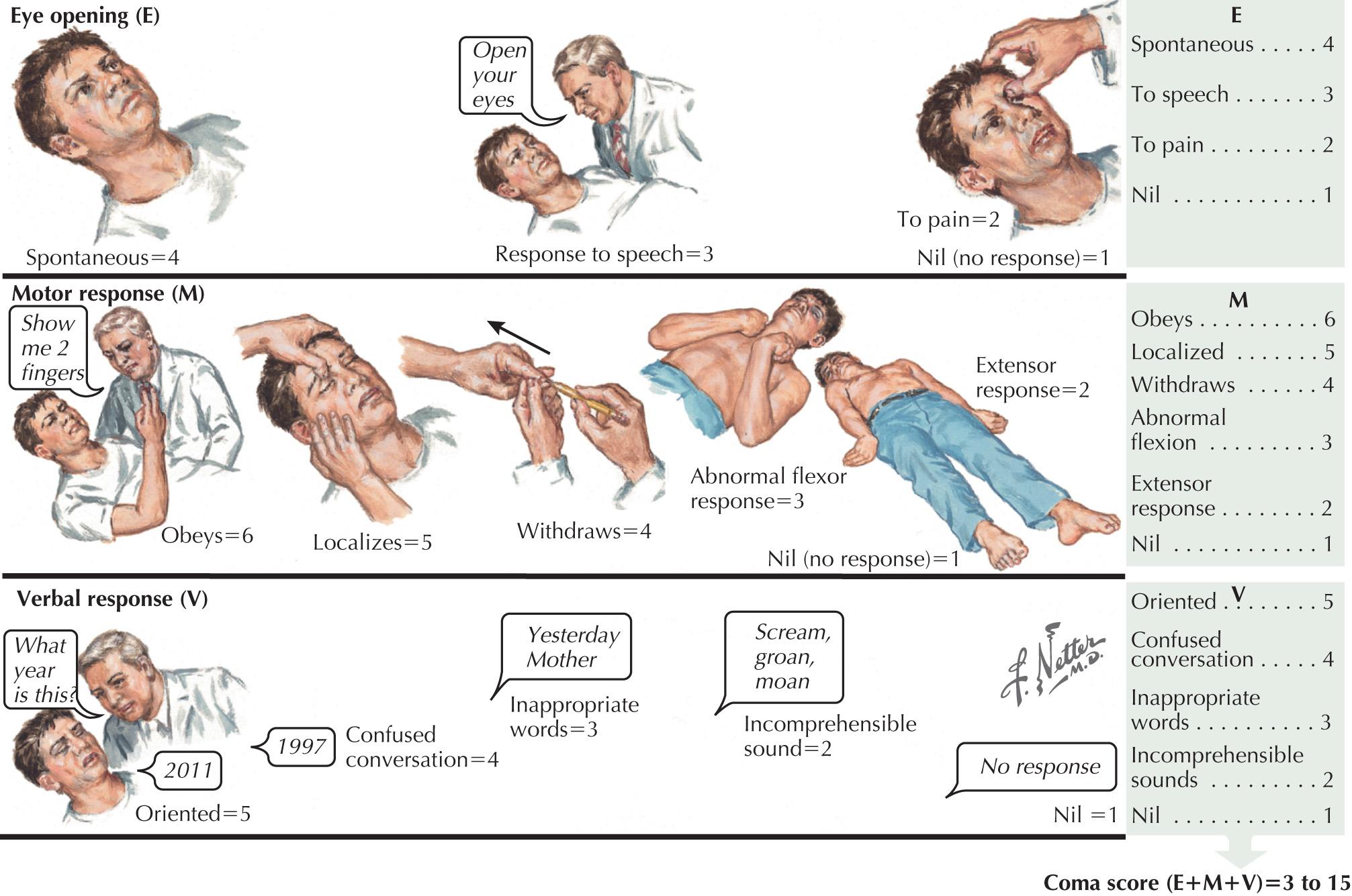 Fig. 19.1, Glasgow Coma Scale.