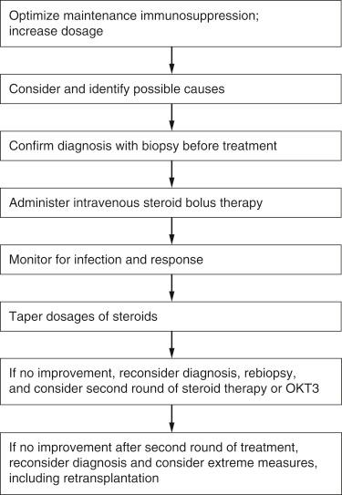 FIGURE 93-1, Treatment of acute rejection.