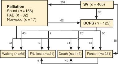 Figure 41-14, Surgical management and current status of 405 single-ventricle patients. Key: BCPS, Bidirectional superior cavopulmonary shunt; F/U loss, lost to follow-up; PAB, pulmonary artery band; SV, single ventricle; waiting, waiting for Fontan.