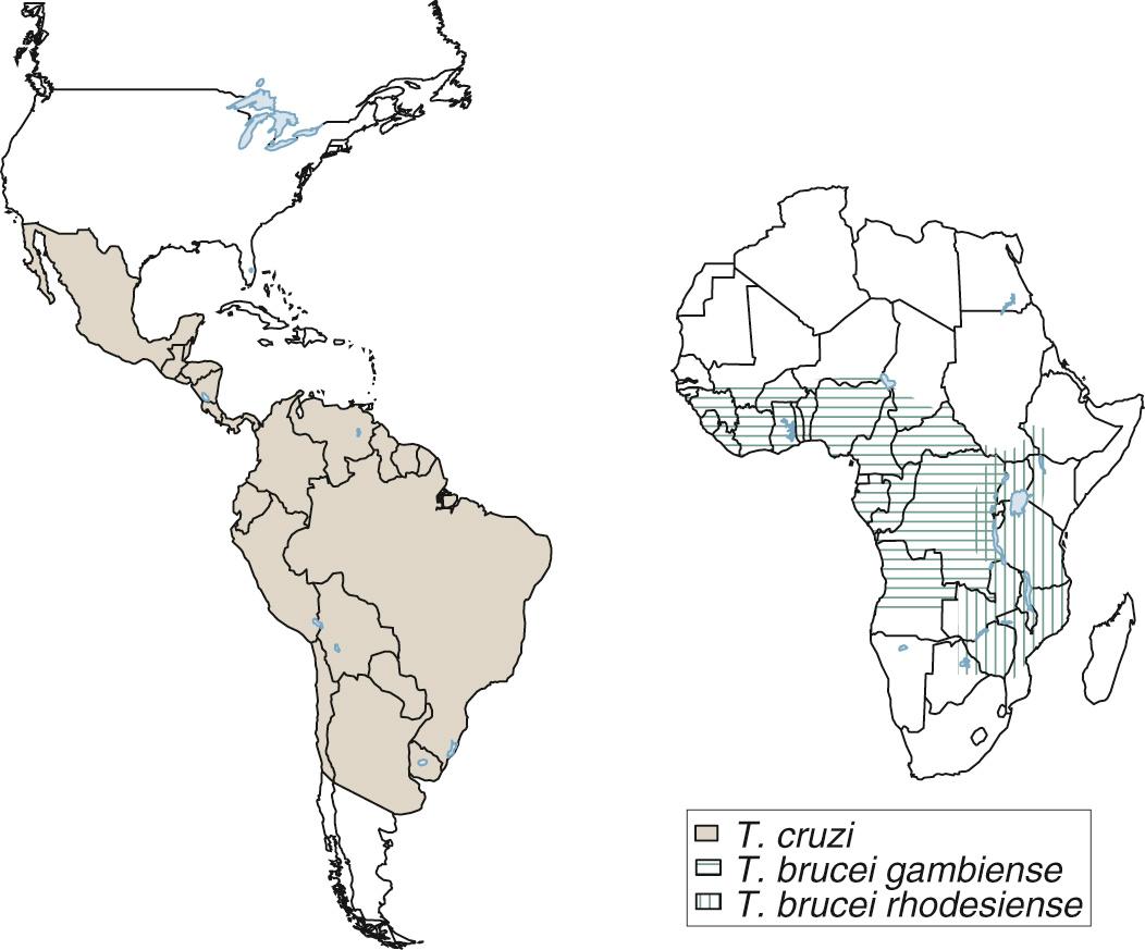 FIG. 276.1, Distribution of human trypanosomiasis.