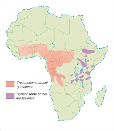 Figure 4-1, Distribution of the two forms of African trypanosomiasis in Africa.