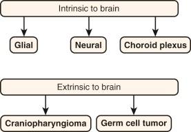 Figure 57-10, Most pediatric brain tumors can be classified into one of five different categories, based on cell of origin. Glial, neuronal, and choroid plexus tumors account for those that derive from cells within the central nervous system (CNS), while germ cell tumors and craniopharyngiomas arise from cells that are enclosed in the developing CNS in early development as a result of abnormal migration.